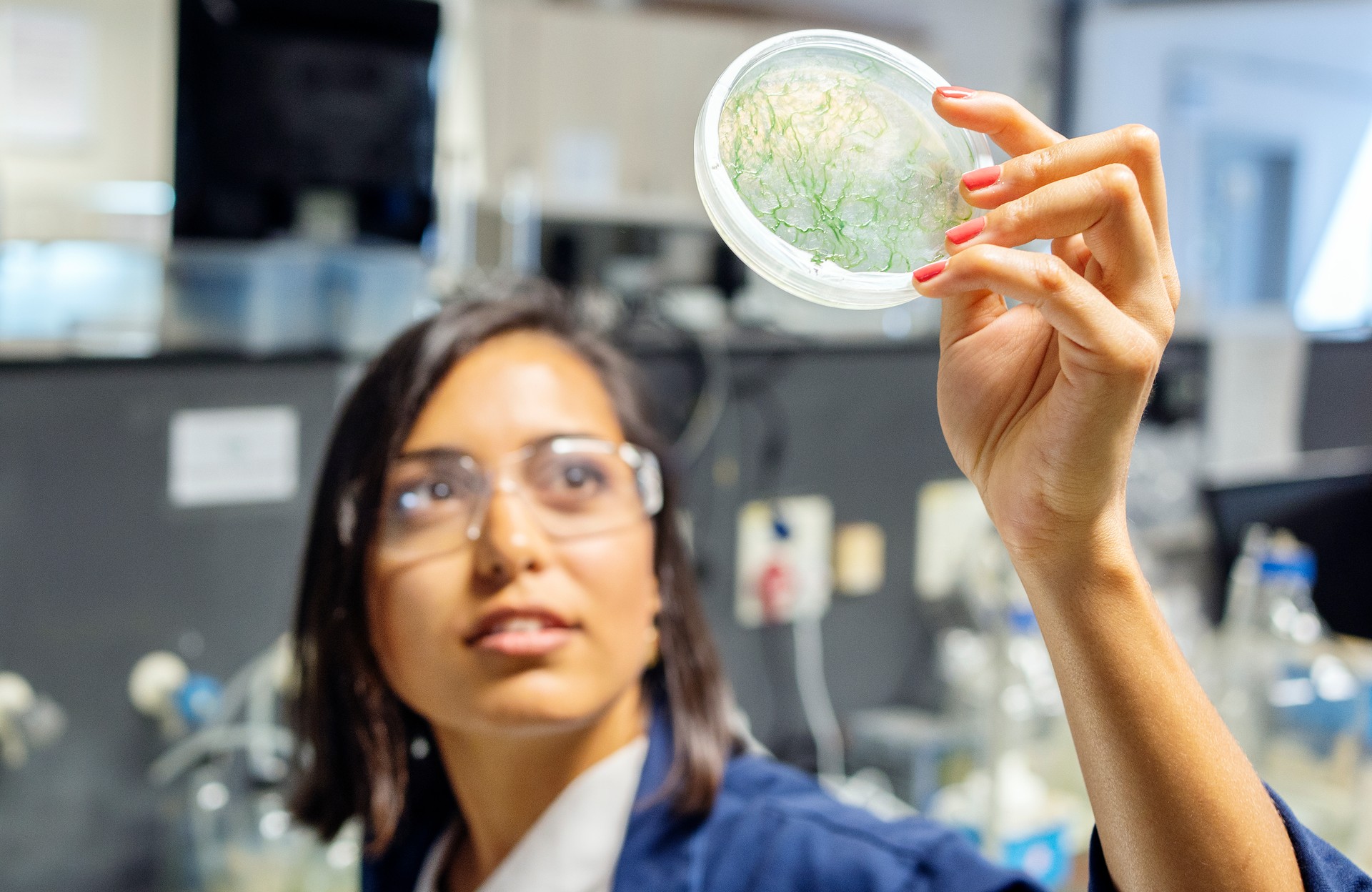 Pesquisadora examina amostras em placas de petri em laboratório